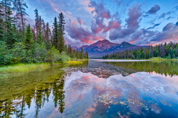 istock Jasper National Park in Alberta Canada 1317146888