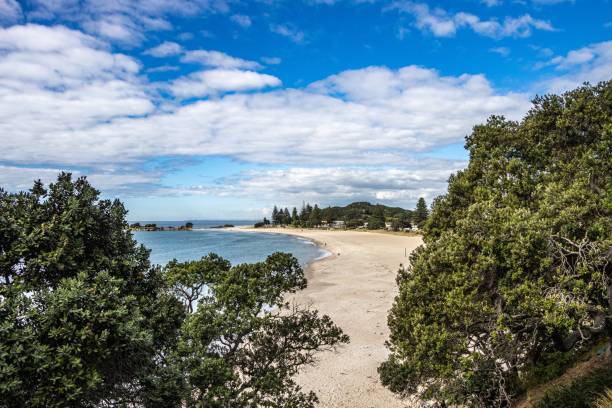 istock Beach at Mt Maunganui 1317146905