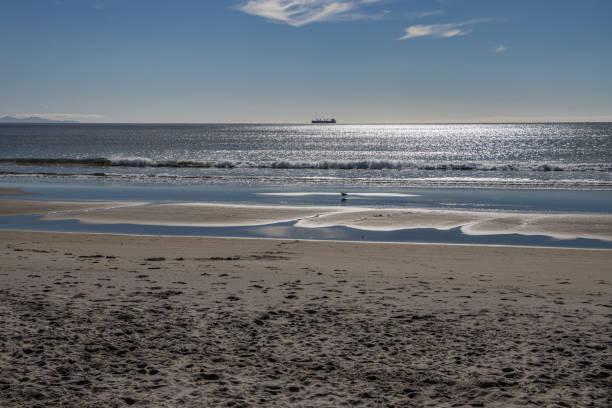 istock Papamoa Beach, Tauranga 1317146959
