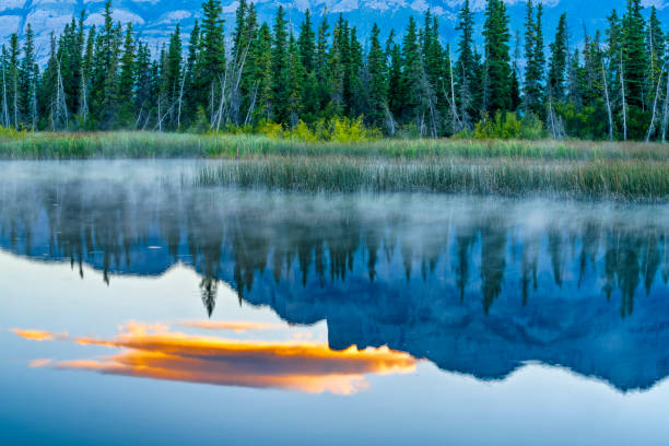 istock Jasper National Park in Alberta Canada 1317146983