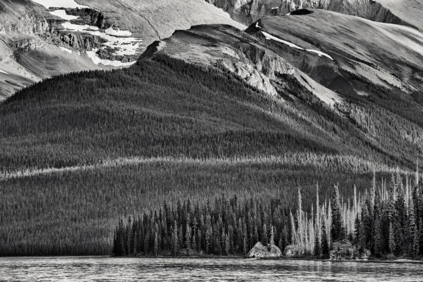 istock Jasper National Park in Alberta Canada 1317147853