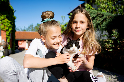 Two twin girls play with a cat in the backyard