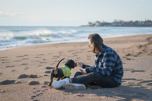 Young man relaxing at the beach with his dog