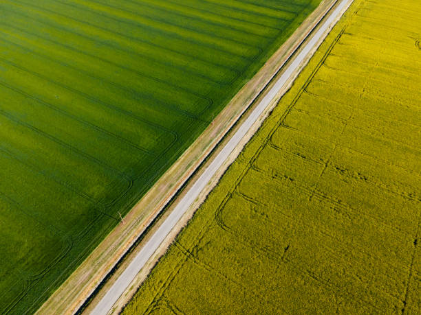 istock agricultural fields seen from drone and rural road 1317150466