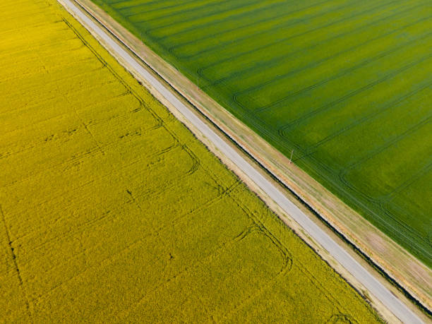 istock agricultural fields seen from drone and rural road 1317150486