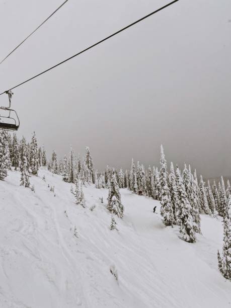istock Snowy Mountain Slope 1317151469