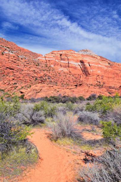 istock Saddleback Tuacahn desert hiking trail views, Padre Canyon,  Cliffs National Conservation Area Wilderness, Snow Canyon State Park St George, Utah, United States. USA. 1317152008