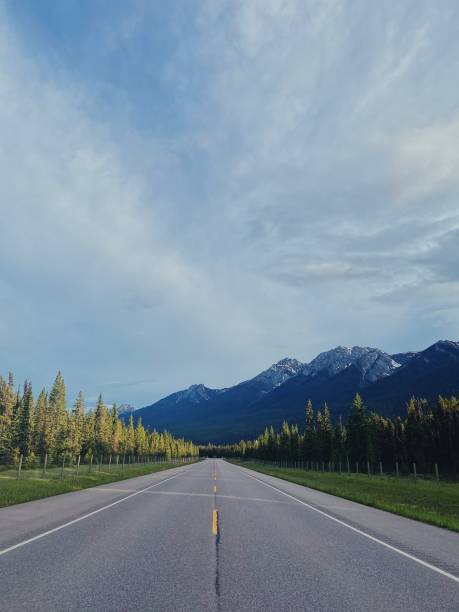 istock A mountain scene with lots of trees in the summer 1317152810