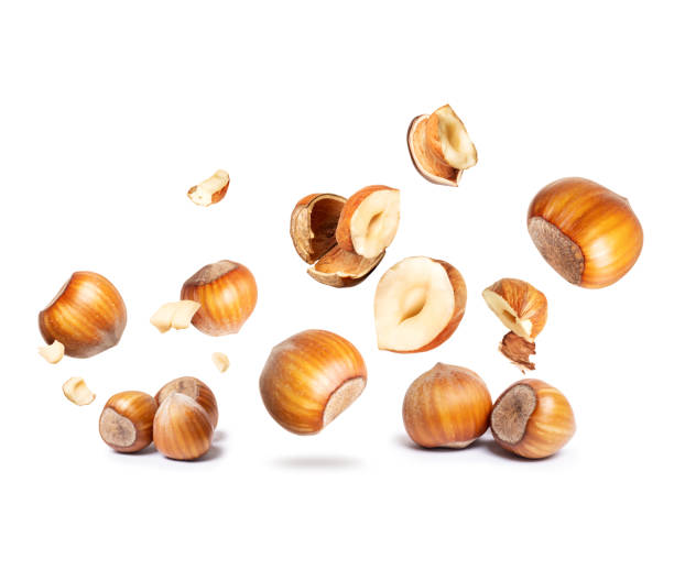 istock Group of hazelnuts are falling down close-up on a white background 1317152915