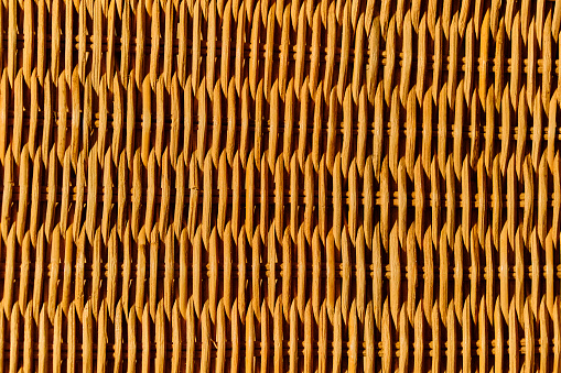 Bamboo texture for background and design.