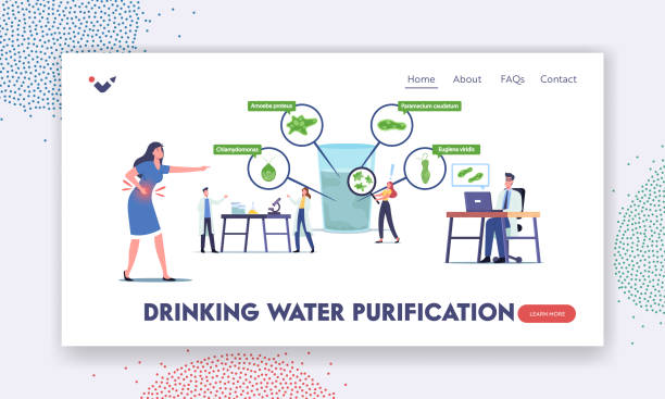 Drinking Water Purification Landing Page Template. Tiny Scientists Characters in Laboratory Learn Protozoa Unicellularin Drinking Water Purification Landing Page Template. Tiny Scientists Characters in Laboratory Learning Protozoa Unicellularin Microorganisms in Huge Water Glass. Cartoon People Vector Illustration chlamydomonas stock illustrations