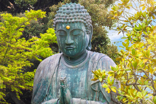 statue de bouddha shaka nyorai priant dans le temple tennoji du cimetière de yanaka. - asia buddha buddhism carving photos et images de collection