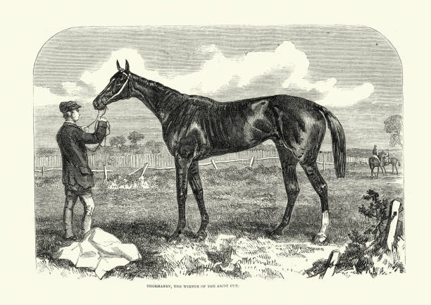 ilustrações de stock, clip art, desenhos animados e ícones de thormanby,  british thoroughbred racehorse and sire, ascot cup winner, 1861 - ascot