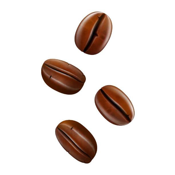 Web Coffee beans isolated on white background . Realistic vector 3d illustration coffee beans stock illustrations
