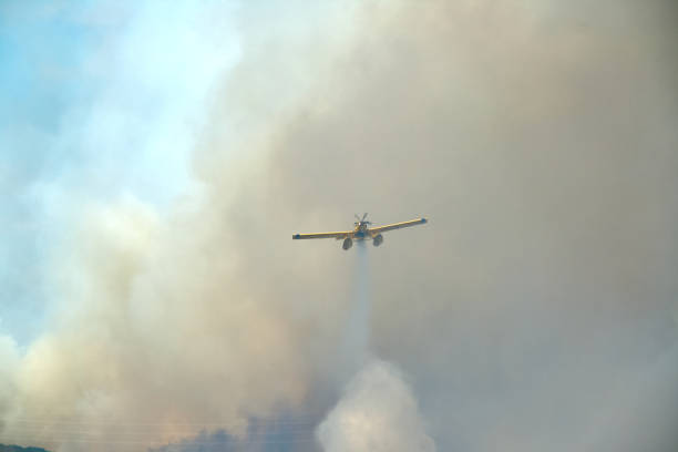 istock The help of fire seaplanes 1317164662