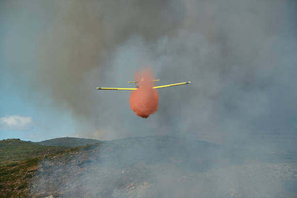 istock The help of fire seaplanes 1317164692