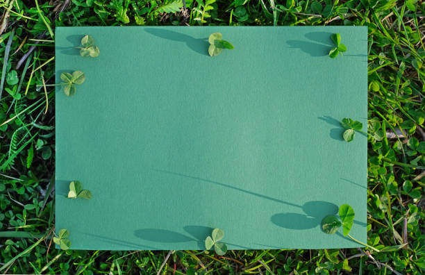 istock Green blank with clover leaves on grass backround, mock-up 1317164724