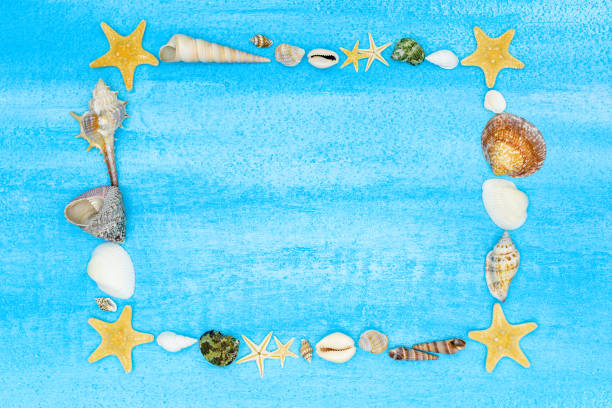istock Frame made of seashells and starfishes on a light blue textured background with white stripes. 1317164726