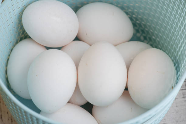 istock Lots of white chicken eggs in a plastic basket. 1317165403