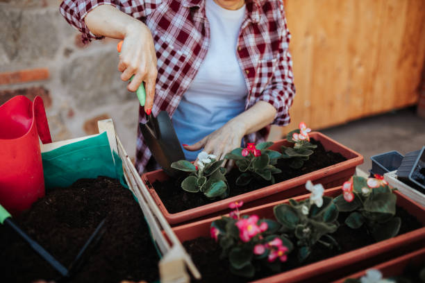istock Mature female gardening at spring time 1317166659