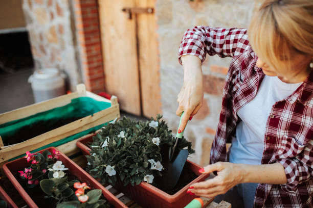 istock Mature female gardening at spring time 1317166689