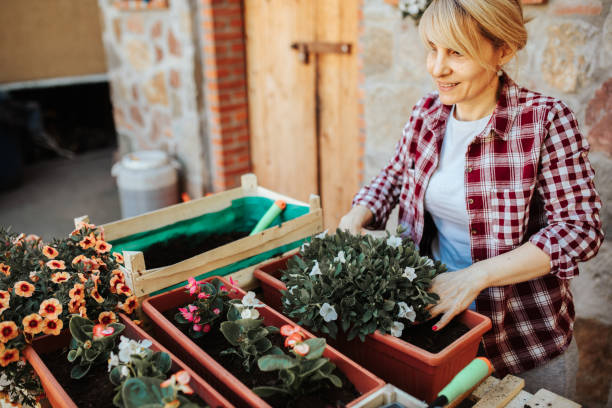 istock Mature female gardening at spring time 1317166697