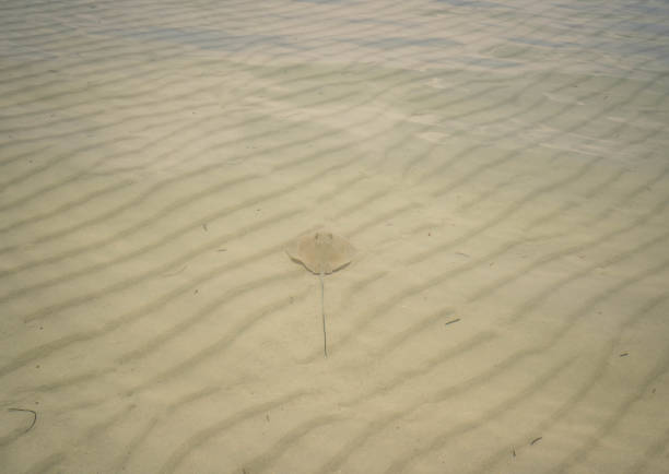 Taken in Bahia Honda Key, 2021