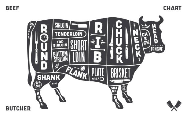 ilustrações, clipart, desenhos animados e ícones de vaca, carne. esquema, diagrama, carta de porco, guia de açougueiro - guide board