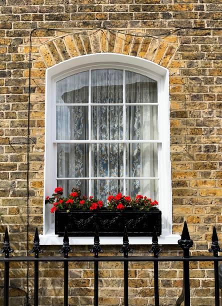 istock LONDON, ENGLAND. Window with blossoming geranium in pot 1317169516
