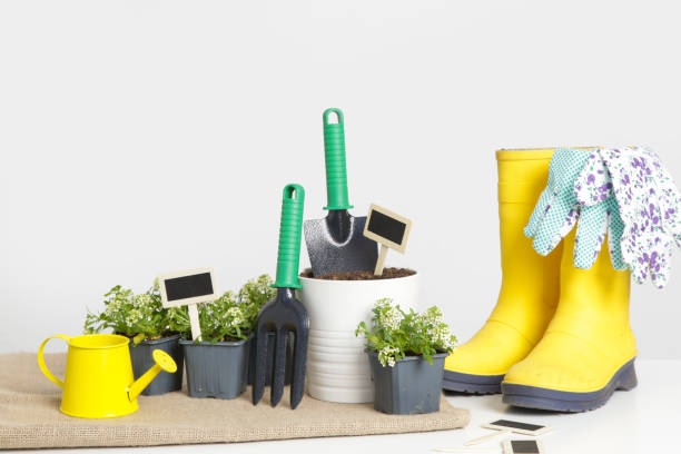 istock Gardening tools, plants and flowers in small pots ready for transplanting, studio shot. 1317169573