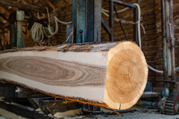 procédé de notation de coupe de scierie de fabrication de planches de bois industrie du bois et du bois - wood saw photos et images de collection