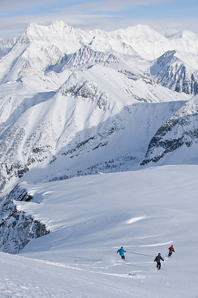 istock Big mountain alpine skiers 131717650