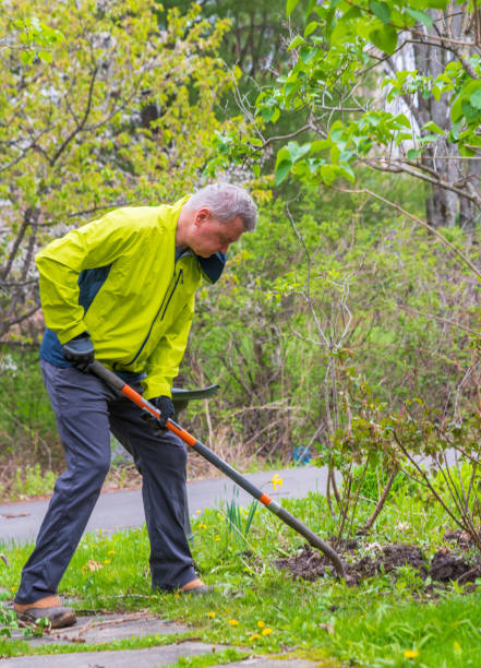 istock Gardener Digs Hole For Rose Bush 1317176710