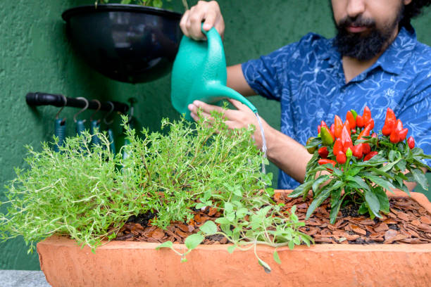 istock A man watering the garden at home 1317179167