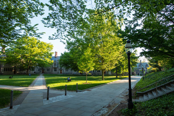 Trees in front of a college