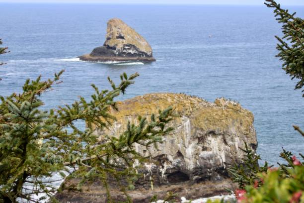 istock Saturday Morning in Cape Meares 1317180924