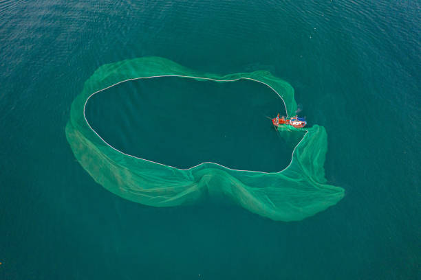 istock Fishing boat on the sea 1317183130