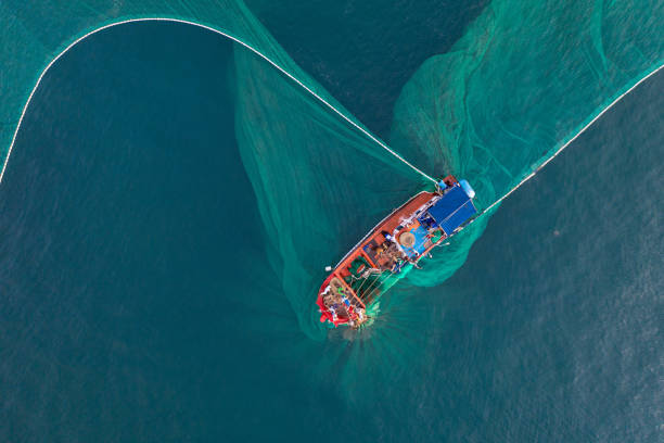 istock Fishing boat on the sea 1317183166