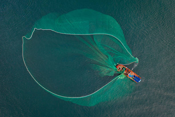 Fishing boat on the sea Drone view of fishing boat is netting on the sea, Phu Yen province, central Vietnam boat-fishing-net stock pictures, royalty-free photos & images