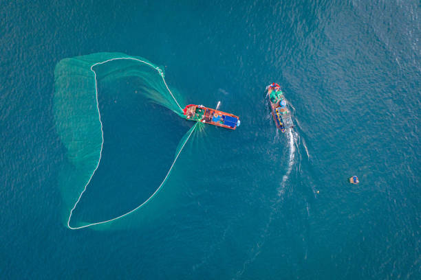 istock Fishing boat on the sea 1317183811