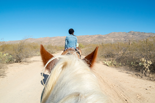This picture shows the rear view of a woman riding on a horse on a trail in the Arizona Desert near Saguaro National Park near Tucson, Arizona.  This shot was taken from an angle that shows a horse's head's perspective.  The woman is following a line of other riders.  Surrounding the trail are cactus and other brush in the arid landscape.