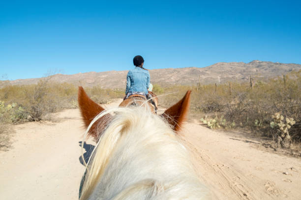 widok z tyłu koń kobieta na przejażdżkę konną na pustyni arizona - horseback riding cowboy riding recreational pursuit zdjęcia i obrazy z banku zdjęć
