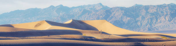 istock Mesquite Flat Sand Dunes in Death Valley National Park, panorama 1317191652