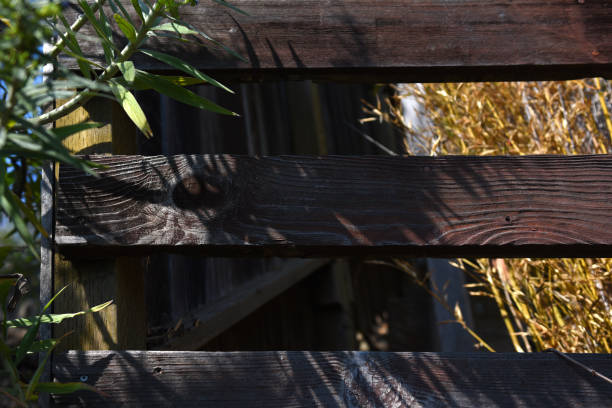 istock wood fence 1317198162