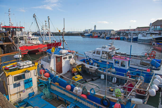 Harbor seafront town fishing port with boats in dock stock photo