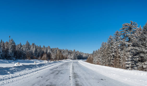 istock Woods and roads after snow in winter 1317201616