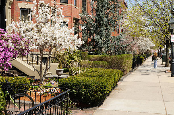 весна в бэк бэй - boston back bay residential district architecture стоковые фото и изображения