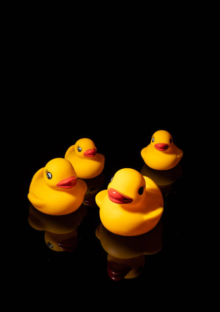 istock Rubber ducky family on black background 1317205746