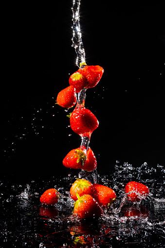 A bunch of Strawberries falling in a stream of water into a splash with an all black background.