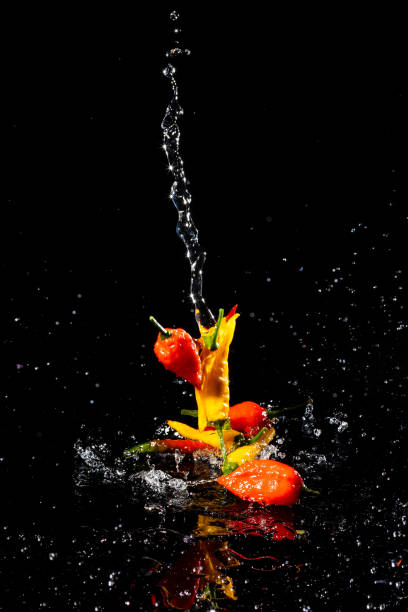 Various kinds of hot Chili peppers falling with water onto a reflective splashing surface with all black background.